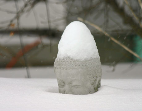 buddha in the snow